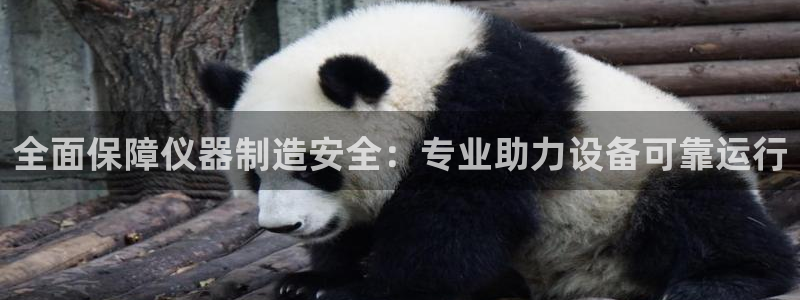 cq9电子官方直营：全面保障仪器制造安全：专业助力设备可靠运