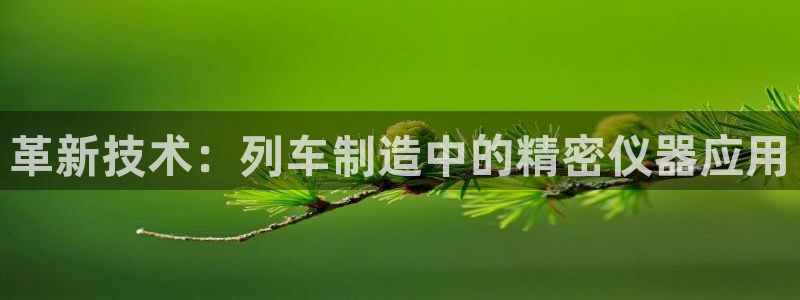 CQ9电子单手跳高高：革新技术：列车制造中的精密仪器应用