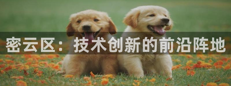 cq9电子舞满分大奖：密云区：技术创新的前沿阵地