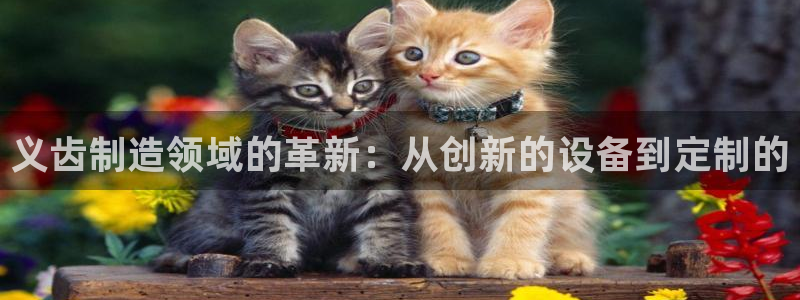 cq9电子专用平台：义齿制造领域的革新：从创新的设备到定制的