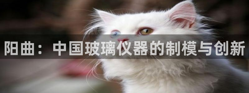 cq9电子雪之吻：阳曲：中国玻璃仪器的制模与创新