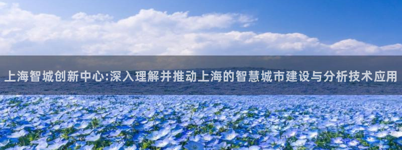 cq9电子技术：上海智城创新中心:深入理解并推动上海的智慧城