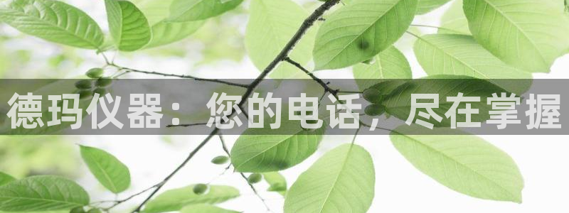 cq9电子辅助功能：德玛仪器：您的电话，尽在掌握