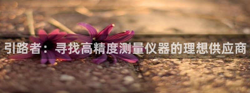 官方cq9电子：引路者：寻找高精度测量仪器的理想供应商