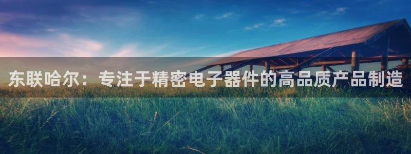 cq9电子负责人：东联哈尔：专注于精密电子器件的高品质产品制