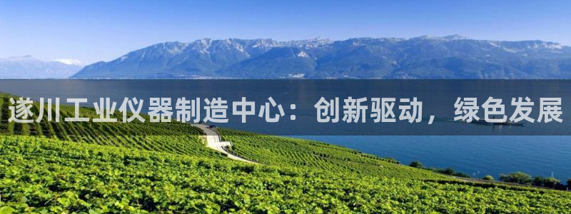 cq9电子血之吻：遂川工业仪器制造中心：创新驱动，绿色发展