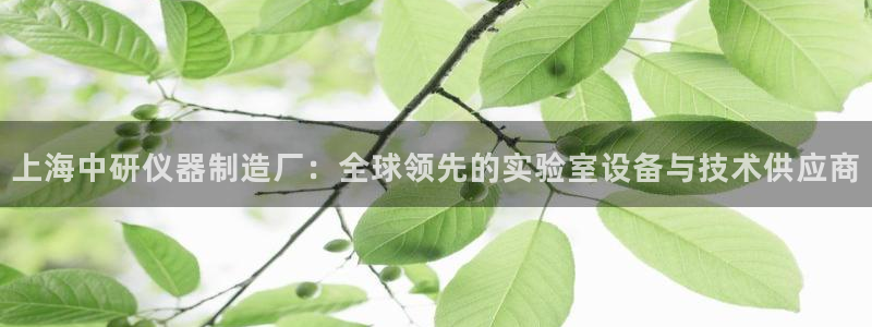 cq9电子洪福齐天：上海中研仪器制造厂：全球领先的实验室设备