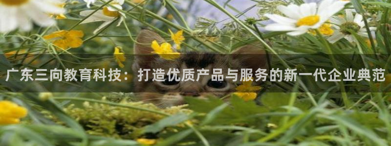 cq9电子游戏一直输：广东三向教育科技：打造优质产品与服务的
